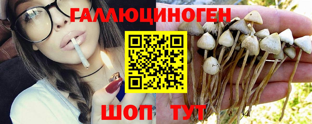 Псилоцибиновые грибы Psilocybine cubensis  Вход с VPN  Галлюциногенные грибы мухоморы  Лесозаводск 