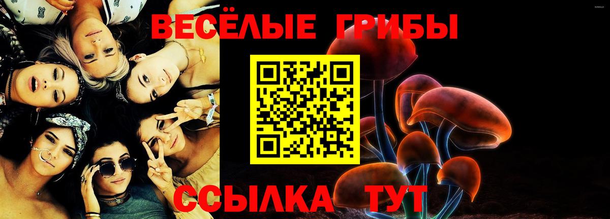NBOMe  ГАШ  ЭКСТАЗИ  Cocaine  Лесозаводск  Меф кристаллы  COCAIN  МАРИХУАНА  Вход с VPN 